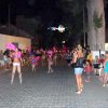 29 agosto desfile carrozas1